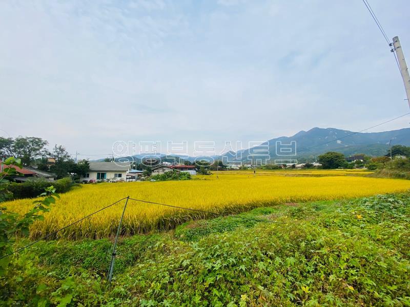 도로 접근성 좋은 계획관리지역내 1000대 토지_8