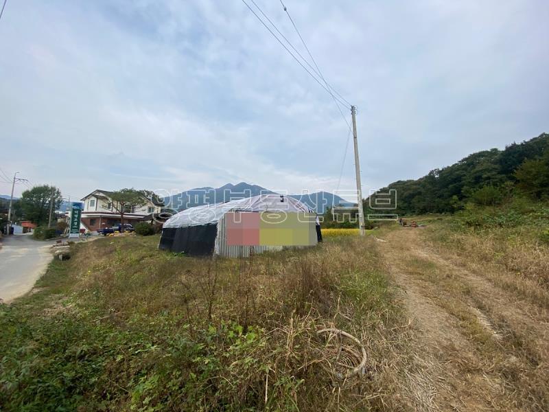 도로 접근성 좋은 계획관리지역내 1000대 토지_9