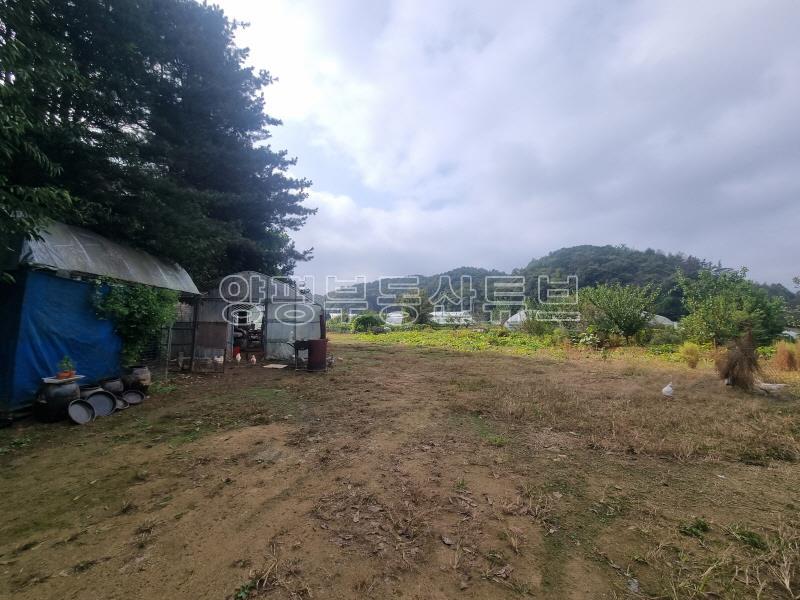 양수역 근거리에 있는 토지로 하우스 2동, 닭장, 지하수, 각종과일나무가 가득한 곳_13
