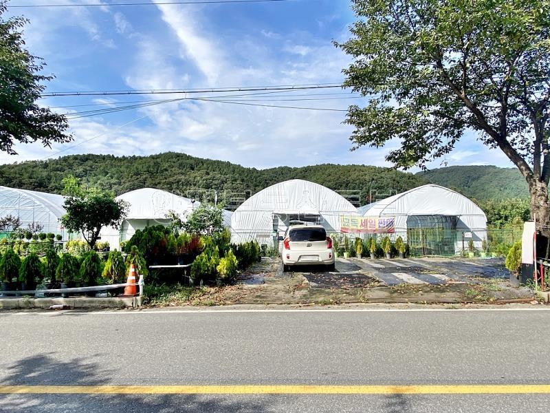 2차선 도로 접한 도시지역, 자연녹지, 개발제한구역내 전으로 이용중인 토지 매매_15