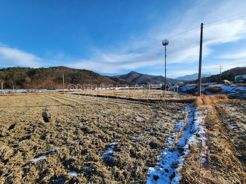 부용리 도시지역, 자연녹지, 그린벨트 내  자연지형의 저렴한 농지 600평이상_19