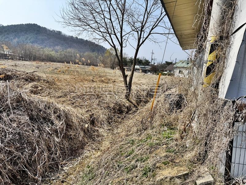 양수역 인근 도시지역 자연녹지내 진입도로 확보되어 있는 토지_13