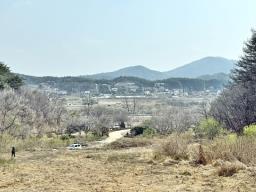 완만한 숲세권의 탁트인 전망으로 떠오르는 태양을 바라보는 멋진 입지_썸네일_9