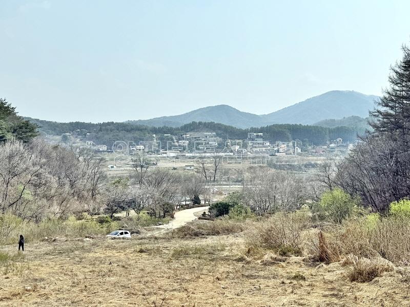 완만한 숲세권의 탁트인 전망으로 떠오르는 태양을 바라보는 멋진 입지_9