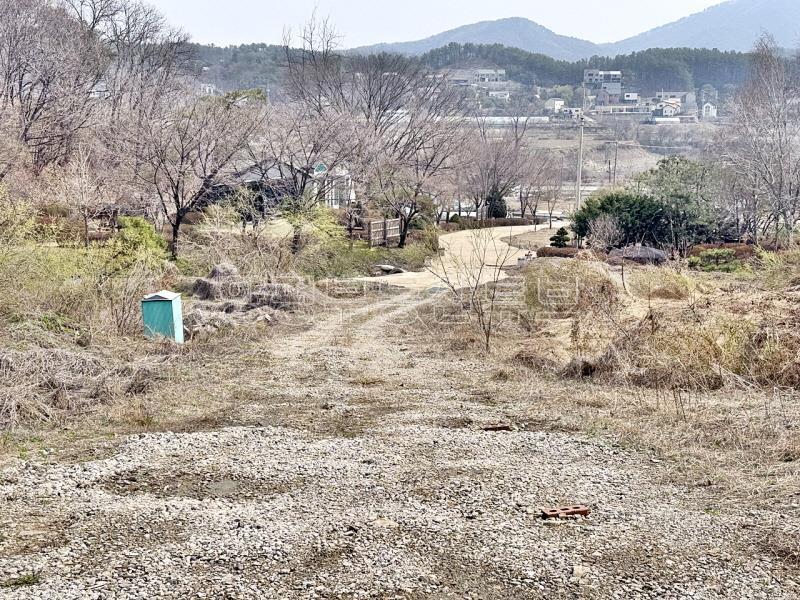 완만한 숲세권의 탁트인 전망으로 떠오르는 태양을 바라보는 멋진 입지_15