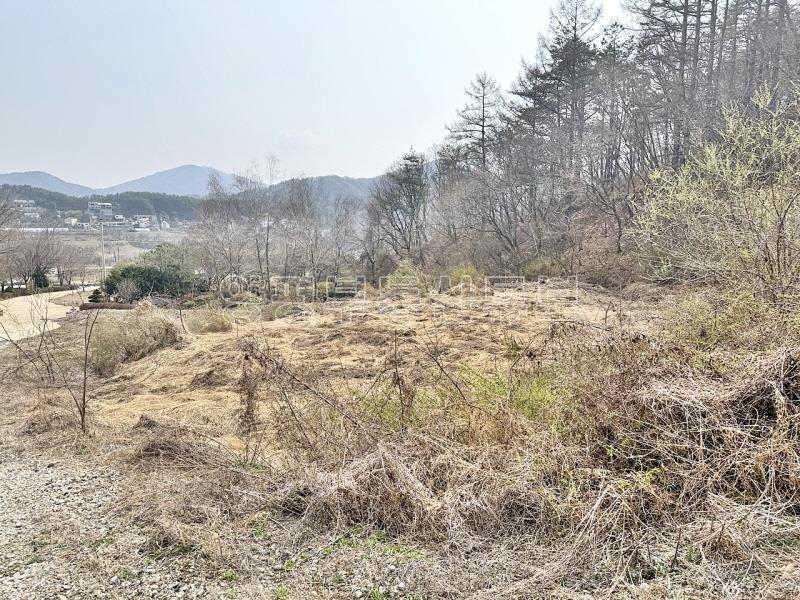 완만한 숲세권의 탁트인 전망으로 떠오르는 태양을 바라보는 멋진 입지_17
