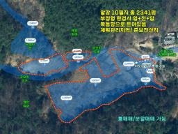 완만한 숲세권의 탁트인 전망으로 떠오르는 태양을 바라보는 멋진 입지_썸네일_24