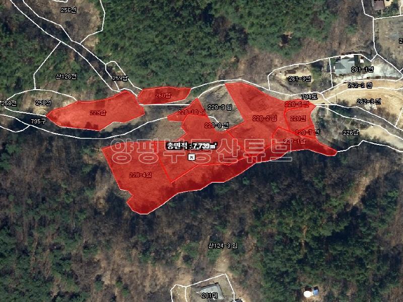 완만한 숲세권의 탁트인 전망으로 떠오르는 태양을 바라보는 멋진 입지_1