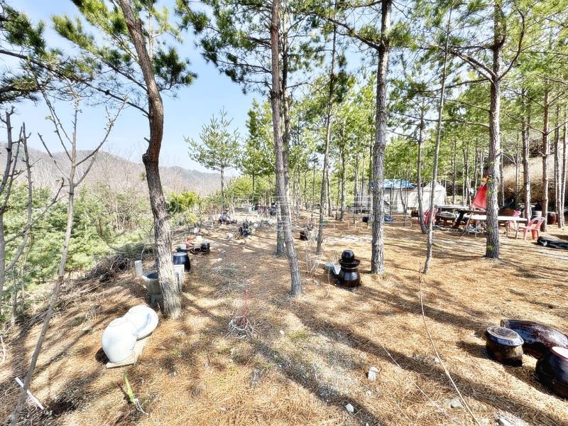 남한강이  한 눈에 펼쳐보이는 6번국도 근거리에 있는 계획관리지역 토지_4