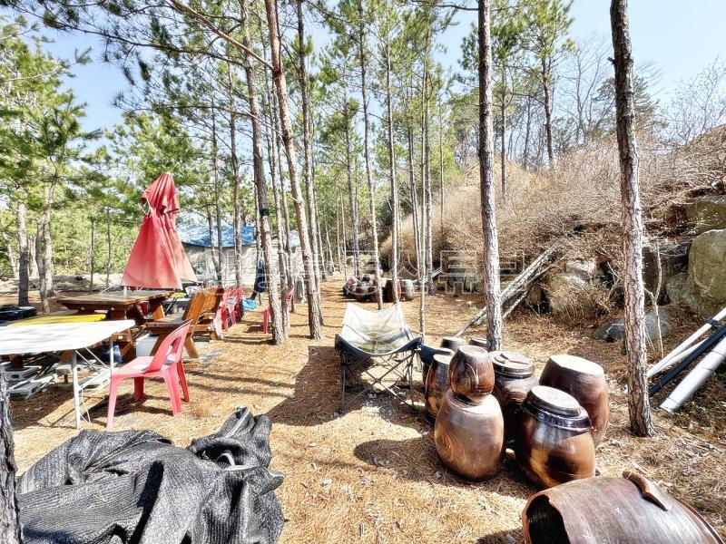 남한강이  한 눈에 펼쳐보이는 6번국도 근거리에 있는 계획관리지역 토지_2