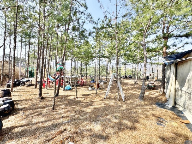 남한강이  한 눈에 펼쳐보이는 6번국도 근거리에 있는 계획관리지역 토지_5
