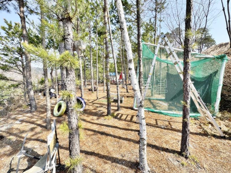 남한강이  한 눈에 펼쳐보이는 6번국도 근거리에 있는 계획관리지역 토지_13