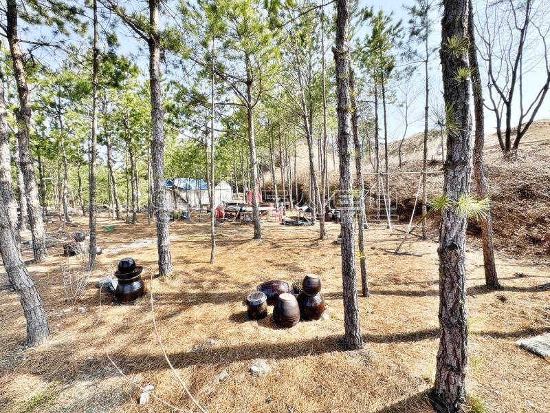 남한강이  한 눈에 펼쳐보이는 6번국도 근거리에 있는 계획관리지역 토지_15