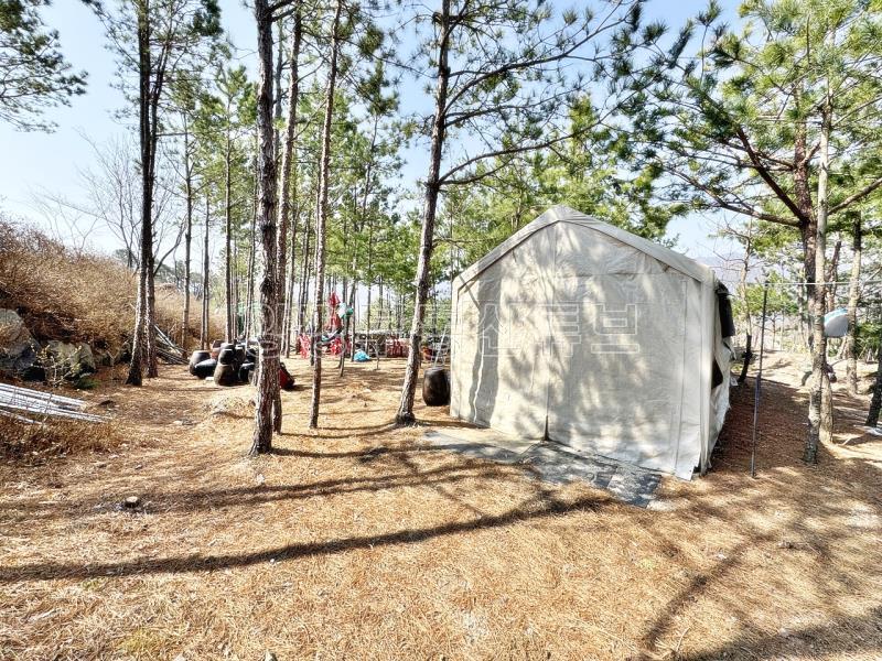 남한강이  한 눈에 펼쳐보이는 6번국도 근거리에 있는 계획관리지역 토지_19