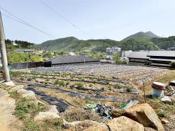 6번국도 근접거리에 있는 흑천이 바라다 보이는 입지의 계획관리지역 내 토지_썸네일_2