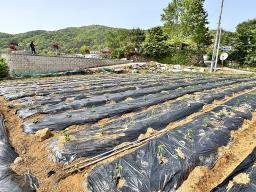 6번국도 근접거리에 있는 흑천이 바라다 보이는 입지의 계획관리지역 내 토지_썸네일_1