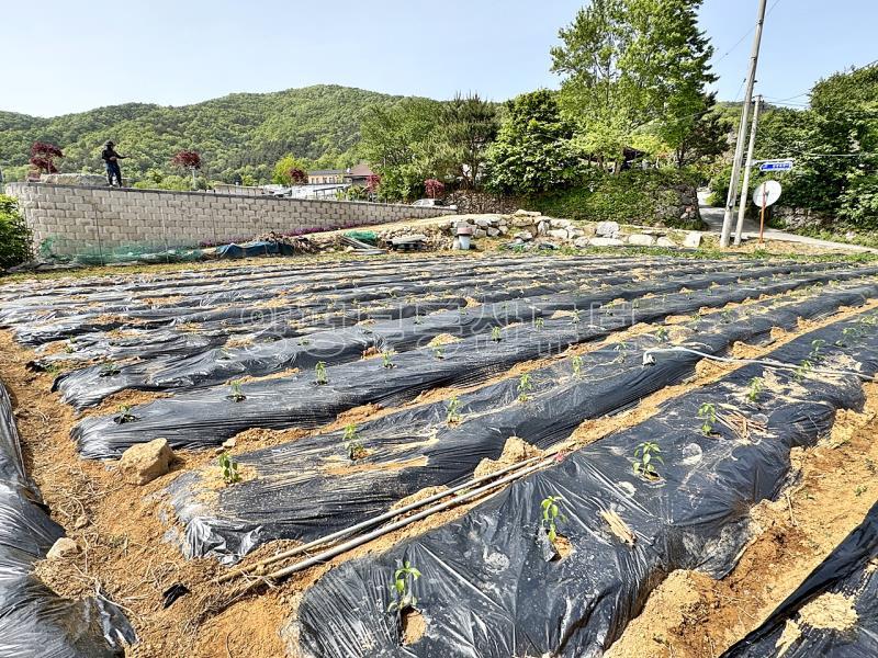 6번국도 근접거리에 있는 흑천이 바라다 보이는 입지의 계획관리지역 내 토지_1