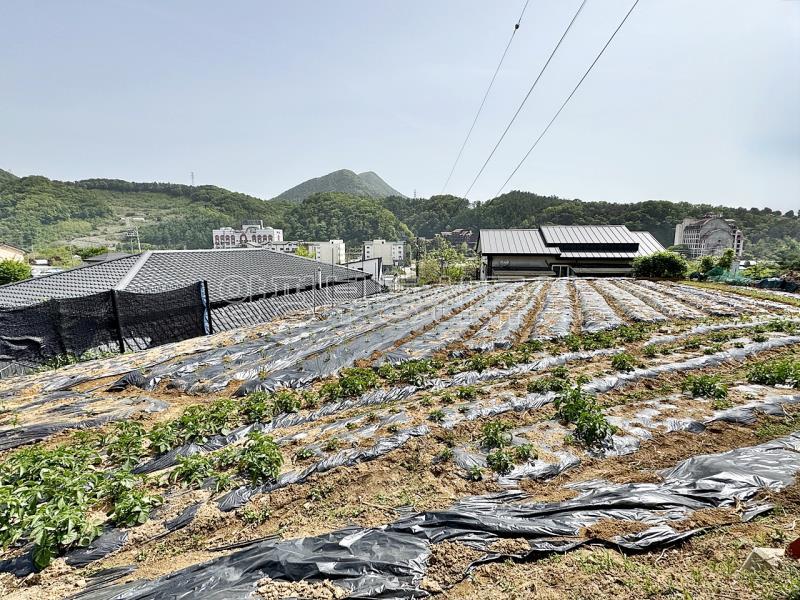6번국도 근접거리에 있는 흑천이 바라다 보이는 입지의 계획관리지역 내 토지_7