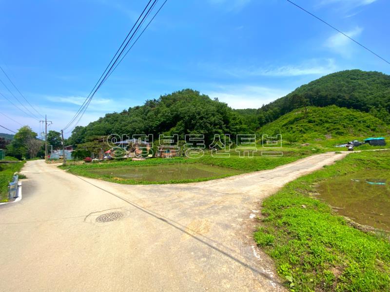 전수저수지 인근 산아래 한적한 곳에 있는 계획관리지역내 600평대 토지_2