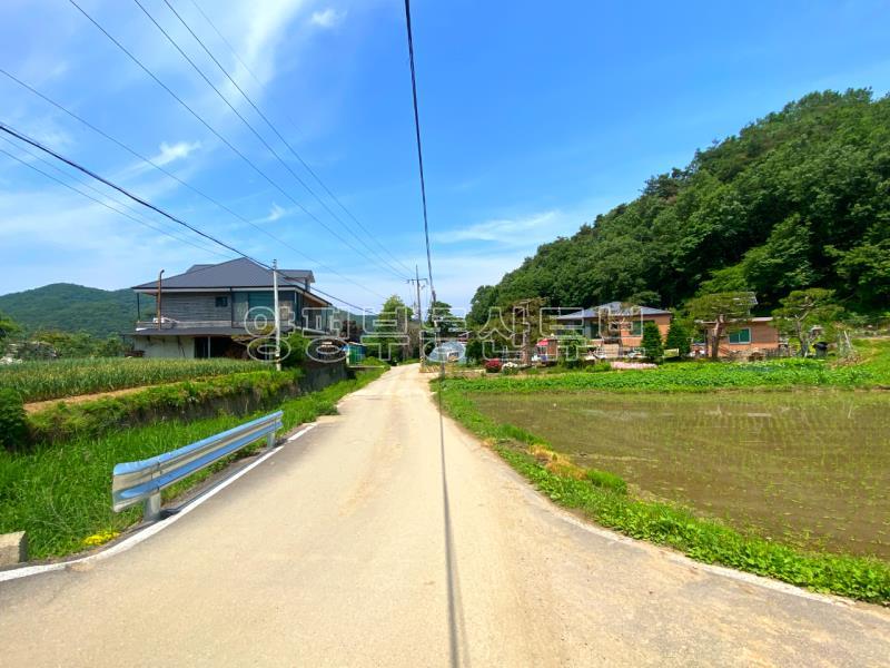 전수저수지 인근 산아래 한적한 곳에 있는 계획관리지역내 600평대 토지_3