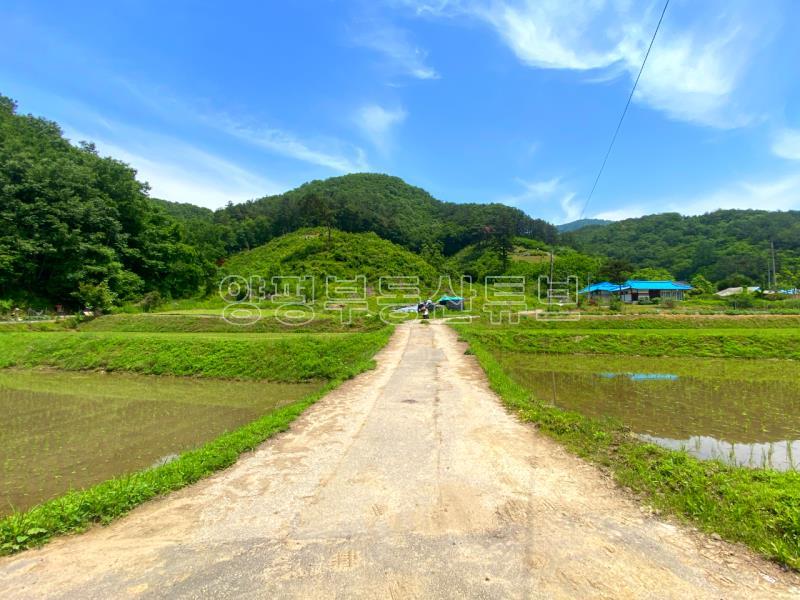 전수저수지 인근 산아래 한적한 곳에 있는 계획관리지역내 600평대 토지_1