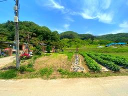 전수저수지 인근 산아래 한적한 곳에 있는 계획관리지역내 600평대 토지_썸네일_8