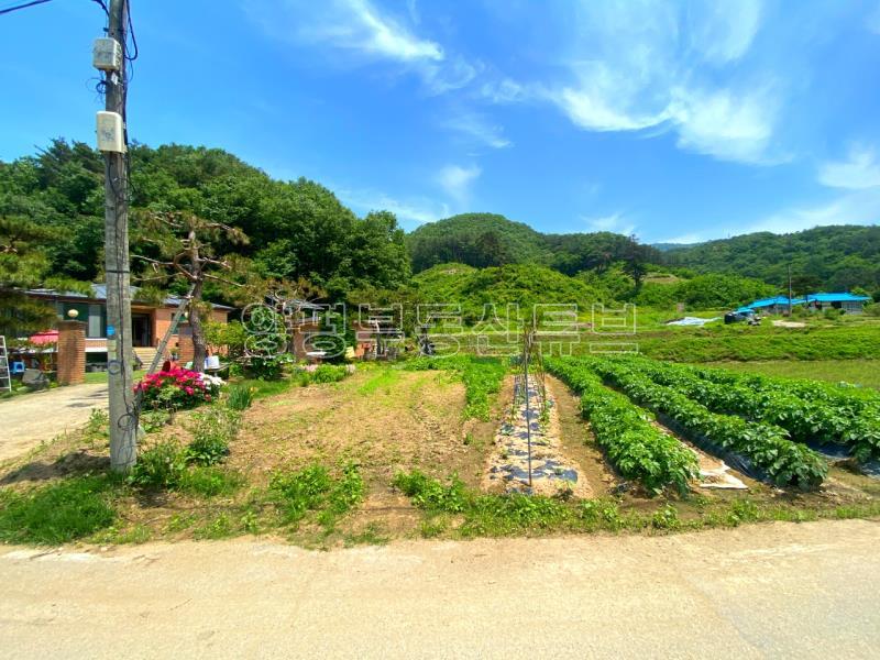 전수저수지 인근 산아래 한적한 곳에 있는 계획관리지역내 600평대 토지_8