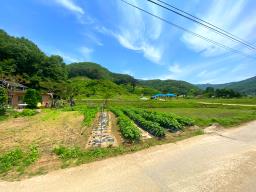 전수저수지 인근 산아래 한적한 곳에 있는 계획관리지역내 600평대 토지_썸네일_9