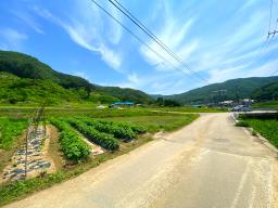 전수저수지 인근 산아래 한적한 곳에 있는 계획관리지역내 600평대 토지_썸네일_10