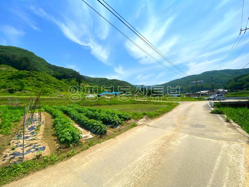 전수저수지 인근 산아래 한적한 곳에 있는 계획관리지역내 600평대 토지_10