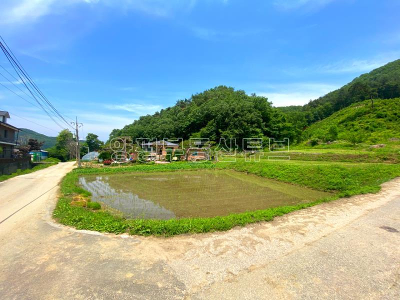 전수저수지 인근 산아래 한적한 곳에 있는 계획관리지역내 600평대 토지_11