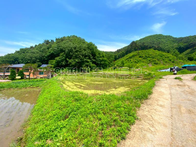 전수저수지 인근 산아래 한적한 곳에 있는 계획관리지역내 600평대 토지_12