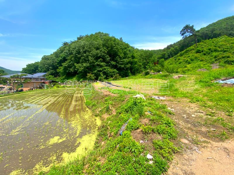 전수저수지 인근 산아래 한적한 곳에 있는 계획관리지역내 600평대 토지_13