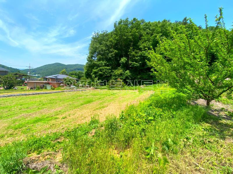 전수저수지 인근 산아래 한적한 곳에 있는 계획관리지역내 600평대 토지_14