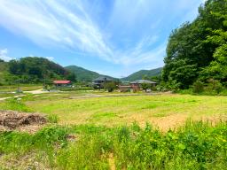 전수저수지 인근 산아래 한적한 곳에 있는 계획관리지역내 600평대 토지_썸네일_15