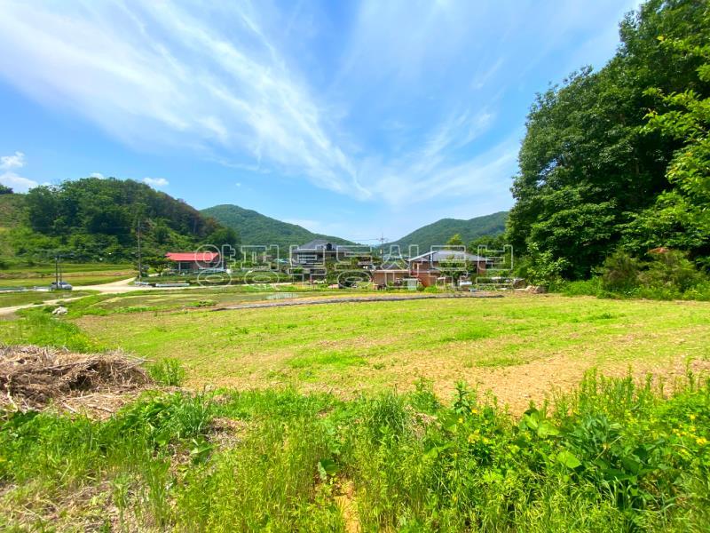 전수저수지 인근 산아래 한적한 곳에 있는 계획관리지역내 600평대 토지_15