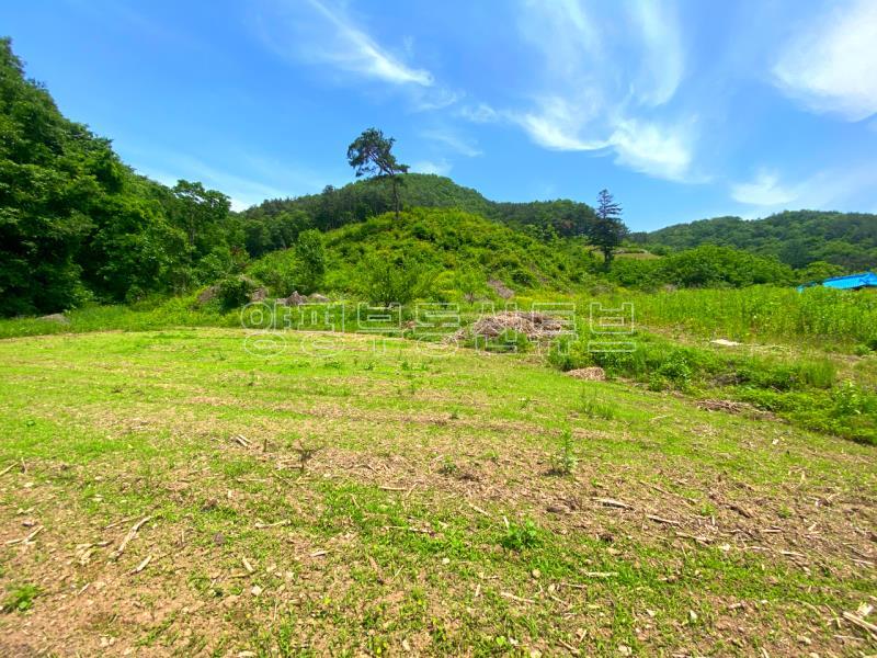 전수저수지 인근 산아래 한적한 곳에 있는 계획관리지역내 600평대 토지_18