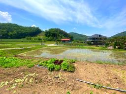 전수저수지 인근 산아래 한적한 곳에 있는 계획관리지역내 600평대 토지_썸네일_19