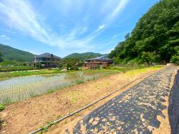 전수저수지 인근 산아래 한적한 곳에 있는 계획관리지역내 600평대 토지_썸네일_20