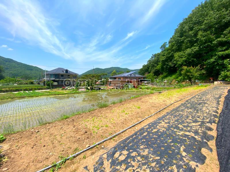 전수저수지 인근 산아래 한적한 곳에 있는 계획관리지역내 600평대 토지_20