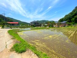 전수저수지 인근 산아래 한적한 곳에 있는 계획관리지역내 600평대 토지_썸네일_22