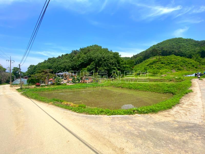 전수저수지 인근 산아래 한적한 곳에 있는 계획관리지역내 600평대 토지_24