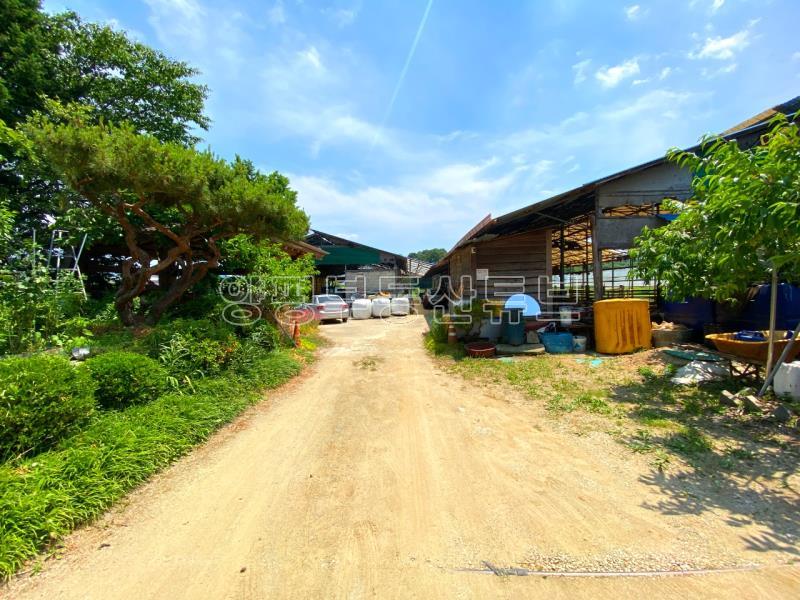 강상면 교펑리 축사로 운영중이였던 600평대 토지 매매_24