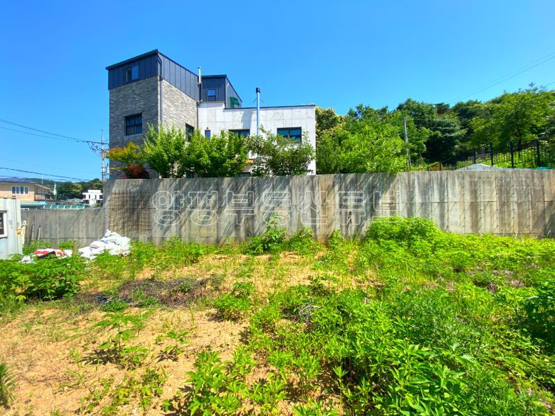 초역세권 토지 가격내림 도로접한 입지 좋은 토지_8