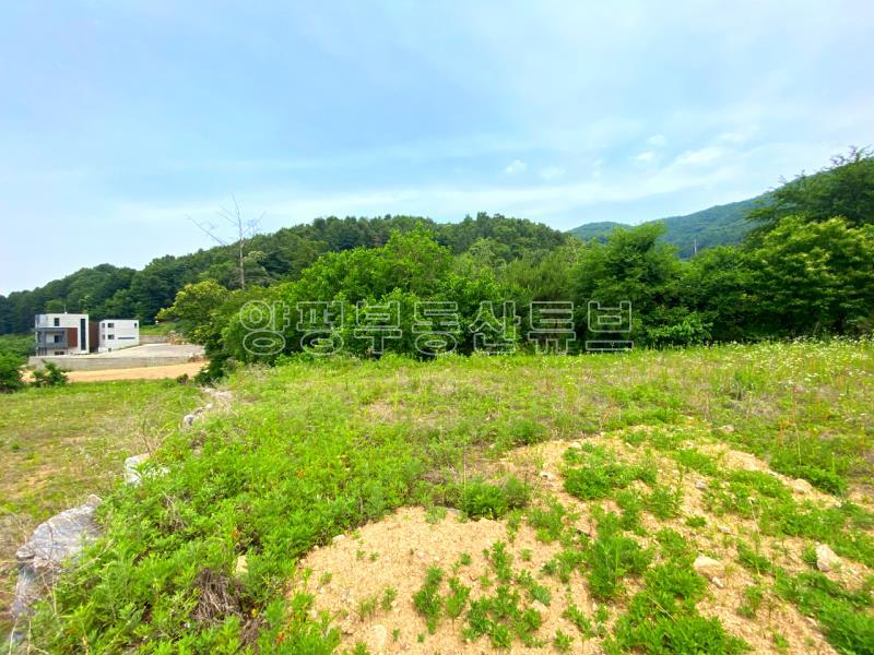 강하면 항금리 2차선 도로 접근성 좋고 버스정류장 근거리에 있는 분양 토지_10