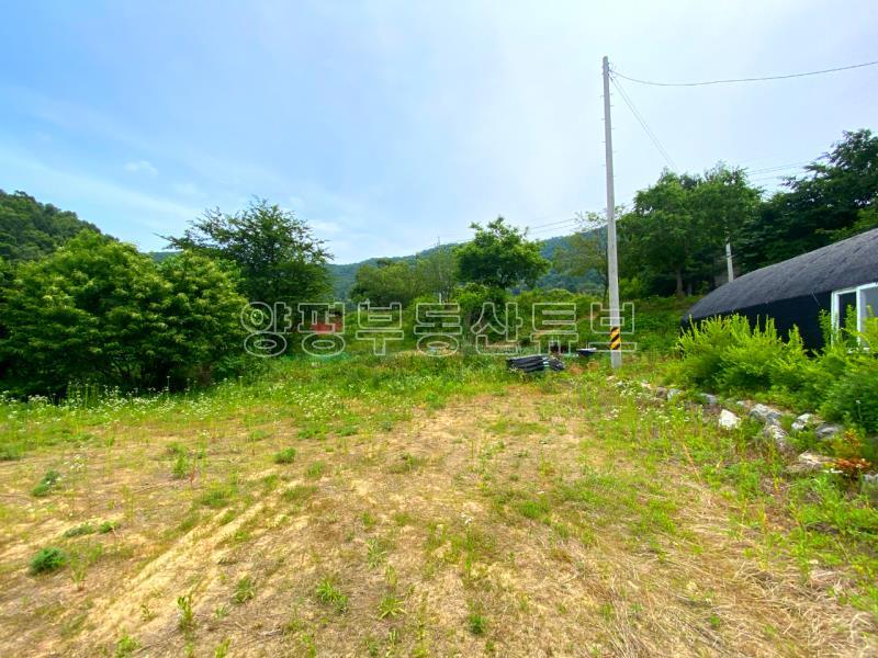 강하면 항금리 2차선 도로 접근성 좋고 버스정류장 근거리에 있는 분양 토지_12
