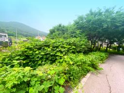 부산~철원까지 37번국도 90m 접근성 좋은  완경사 토지_썸네일_3