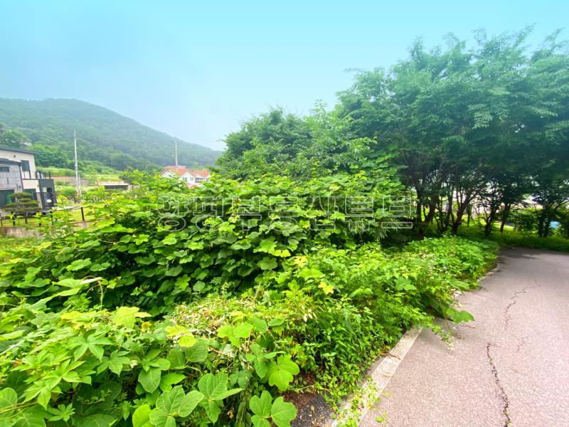 부산~철원까지 37번국도 90m 접근성 좋은  완경사 토지_3