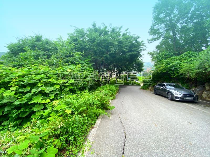 부산~철원까지 37번국도 90m 접근성 좋은  완경사 토지_4