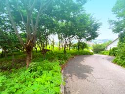 부산~철원까지 37번국도 90m 접근성 좋은  완경사 토지_썸네일_8